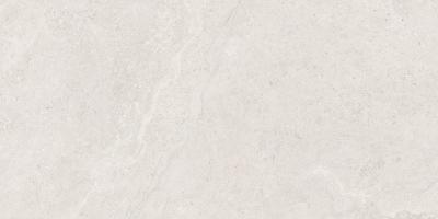 Obrazek dla: Gres DORSET WHITE MAT 60x120