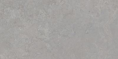 Obrazek dla: Gres DORSET SILVER MAT 60x120