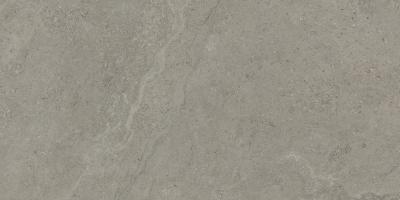 Obrazek dla: Gres DORSET GREIGE MAT 60x120