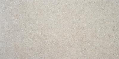 Obrazek dla: Gres OIKOS NATURAL MAT 60x120