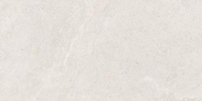 Obrazek dla: Darmowa próbka 20x30  Gres DORSET WHITE MAT 60x120