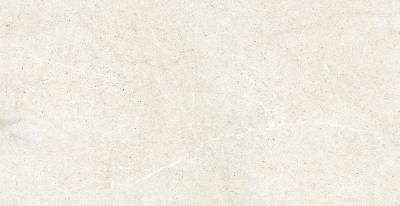 Obrazek dla: Gres LIME EVOLUTION MOON 60x120