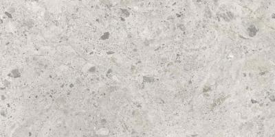 Obrazek dla: Gres AMBROSSIA GREIGE 60x120