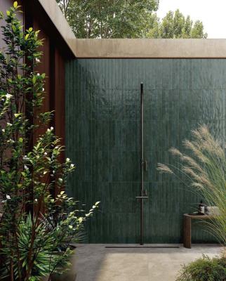 Obrazek 2 dla: Gres COLOUR UP EMERALD 4,8x45