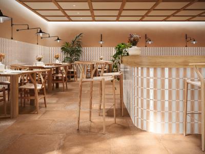 Obrazek 2 dla: Gres BAUH MIES FULL COTTO 5x15