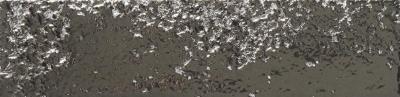 Obrazek dla: Płytka ścienna KOI SILVER 6,4x26